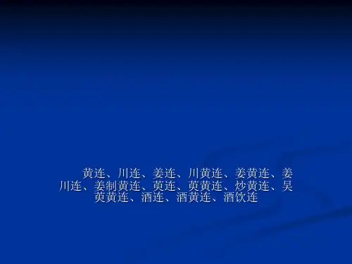黄连PPT课件