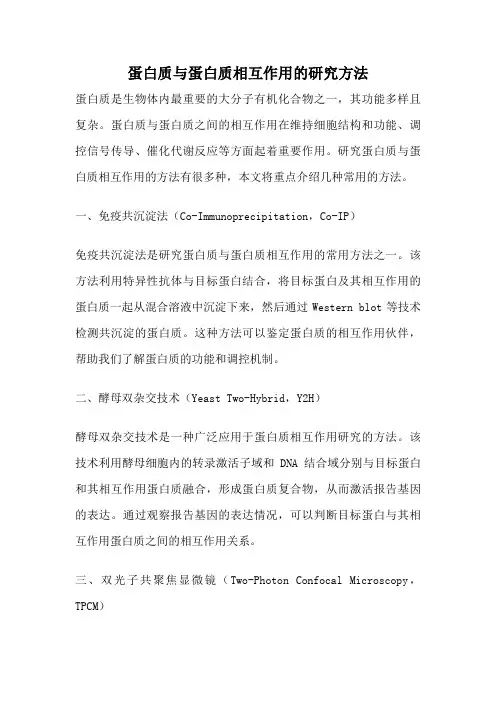 蛋白质与蛋白质相互作用的研究方法