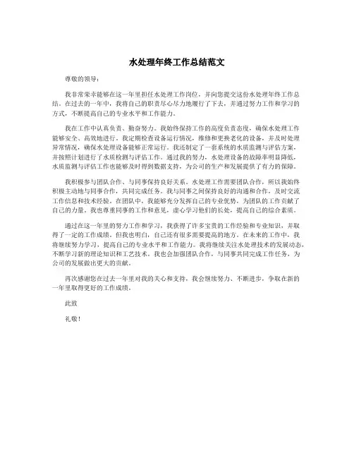 水处理年终工作总结范文