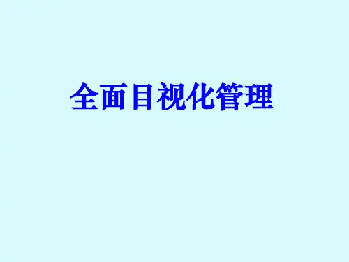 目视化管理及评价标准