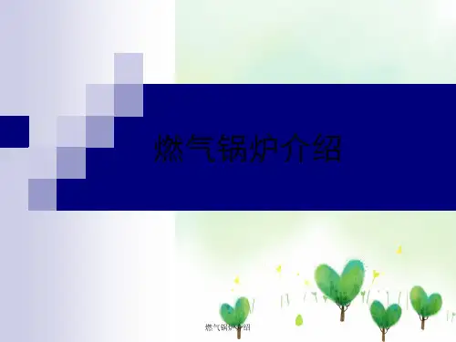 燃气锅炉介绍