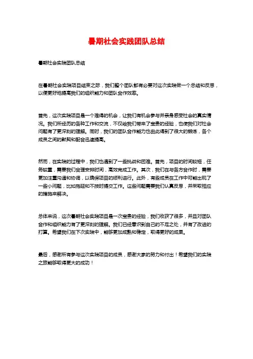 暑期社会实践团队总结