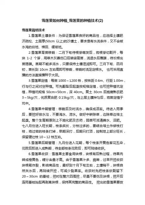 雪莲果如何种植_雪莲果的种植技术（2）