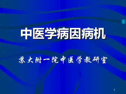 中医精髓
