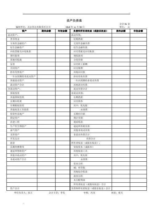 最新格式的资产负债表和利润表