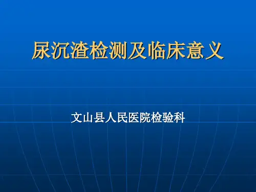 尿沉渣检测及临床意义(医学PPT课件)