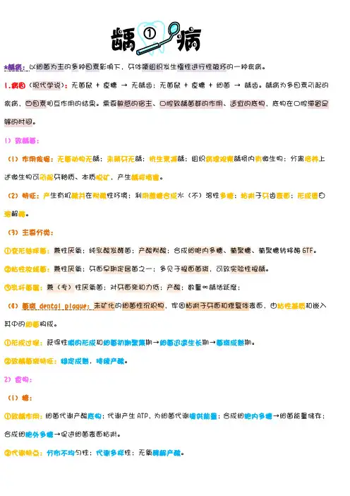 牙体牙髓基本知识及复习要点
