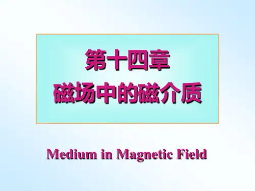 大学普通物理课件第14章
