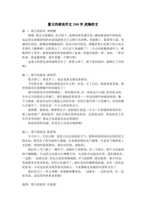 夏日的荷花作文200字_状物作文