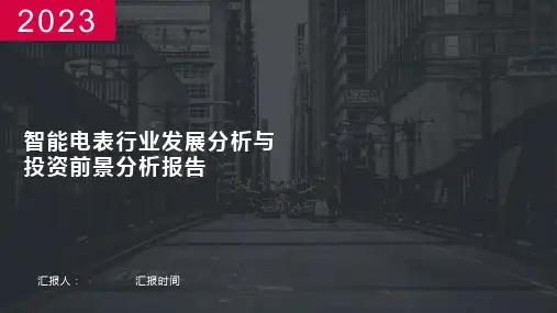 智能电表行业发展分析与投资前景分析报告