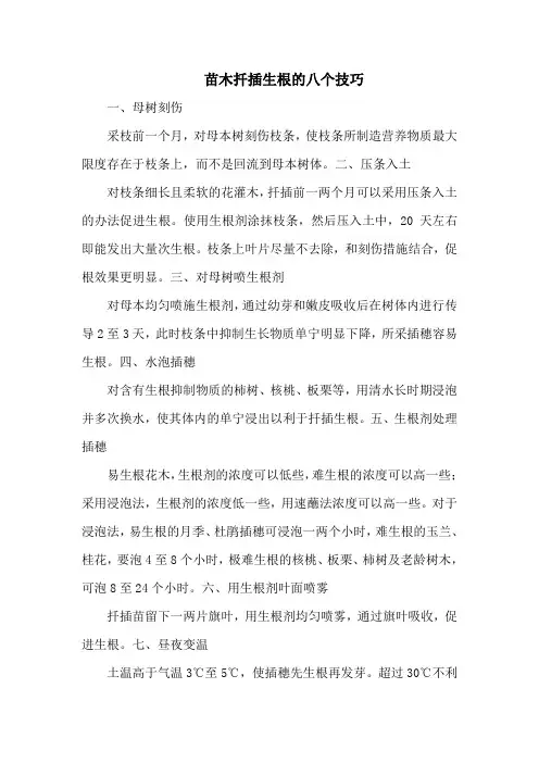 苗木扦插生根的八个技巧