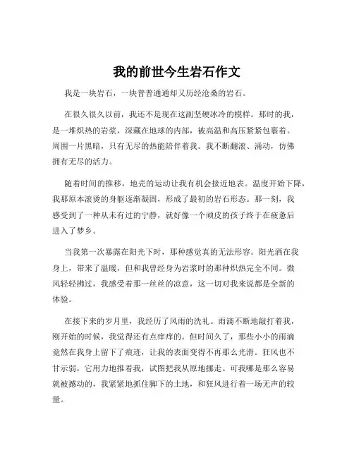 我的前世今生岩石作文
