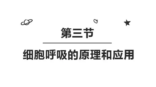 细胞呼吸的原理和应用课件-高一上学期生物人教版(2019)必修1