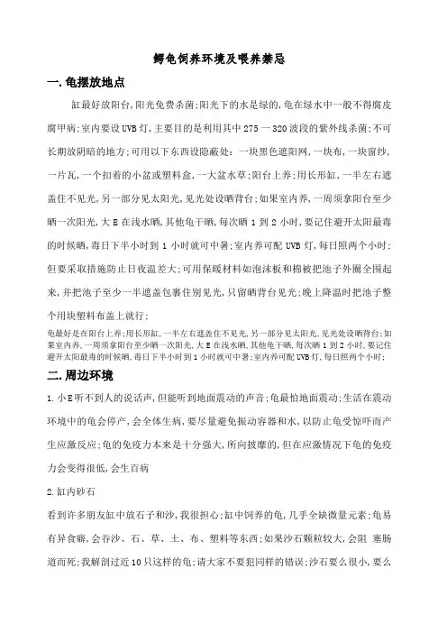 大小鳄龟饲养与禁忌