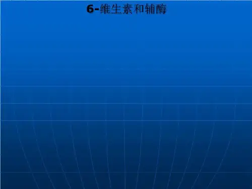 6-维生素和辅酶