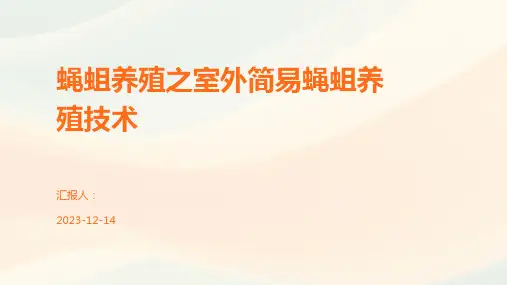 蝇蛆养殖之室外简易蝇蛆养殖技术