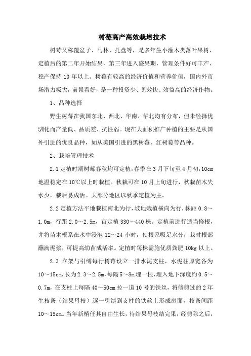 树莓高产高效栽培技术