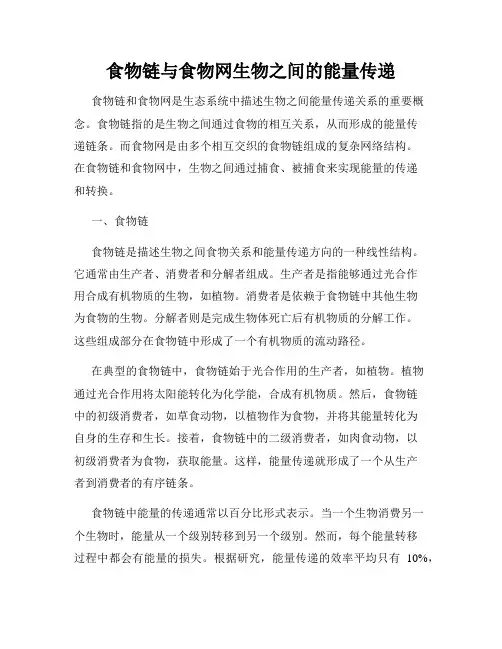 食物链与食物网生物之间的能量传递