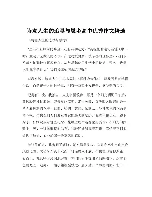 诗意人生的追寻与思考高中优秀作文精选