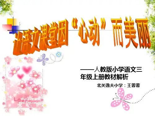 说课标说教材ppt