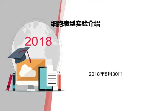 细胞表型实验介绍ppt