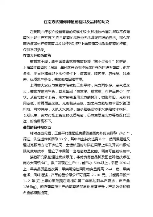 在南方该如何种植葡萄以及品种的功克