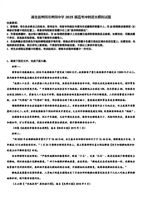湖北省黄冈市黄冈中学2025届高考冲刺语文模拟试题含解析