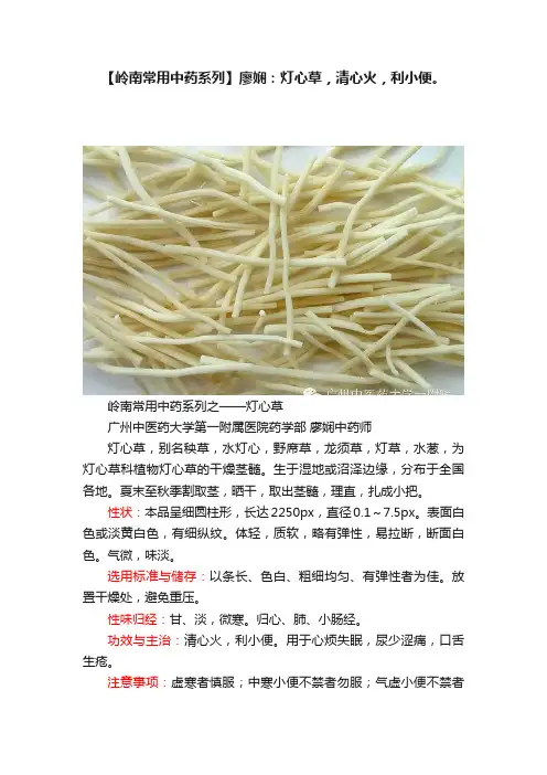 【岭南常用中药系列】廖娴：灯心草，清心火，利小便。
