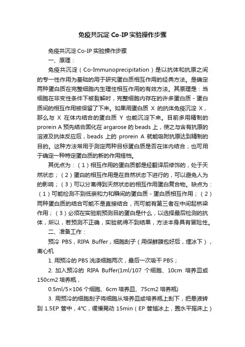 免疫共沉淀Co-IP实验操作步骤