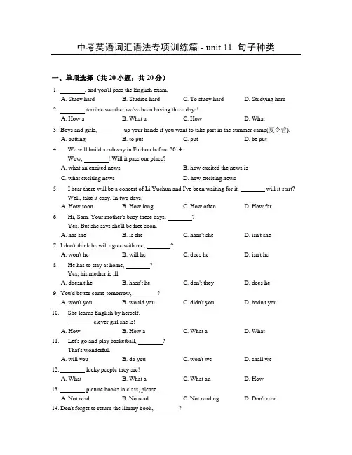 中考英语词汇语法专项训练篇 - unit 11  句子种类