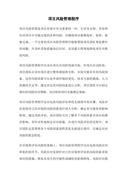 项目风险管理程序
