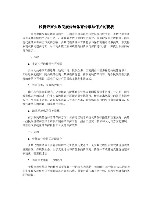 浅析云南少数民族传统体育传承与保护的现状