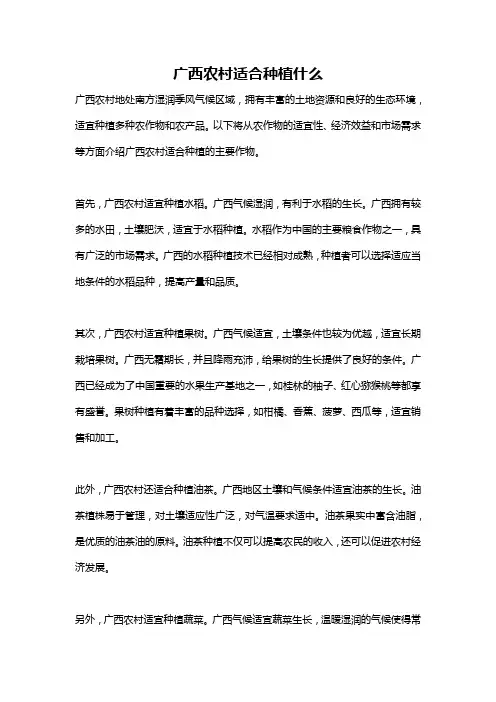 广西农村适合种植什么