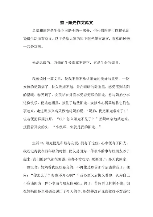 留下阳光作文范文
