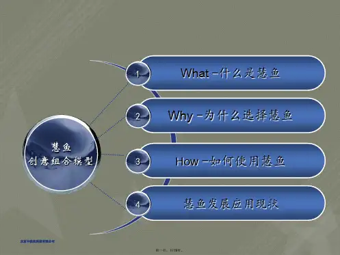 慧鱼创意组合模型介绍