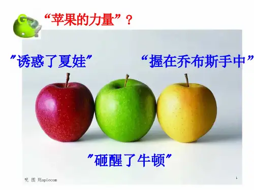 科学和思想的力量人教版课件