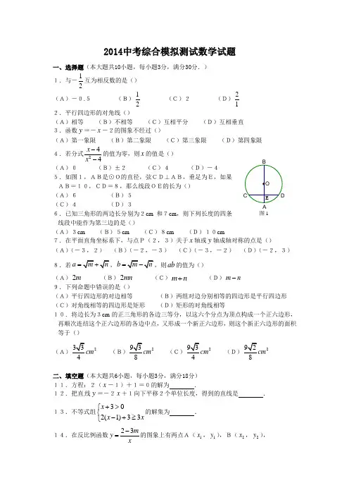 2014中考综合模拟测试数学试题