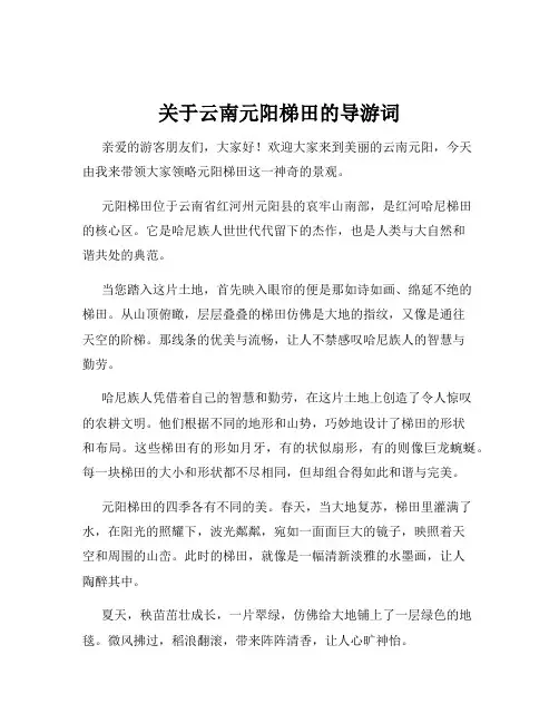 关于云南元阳梯田的导游词