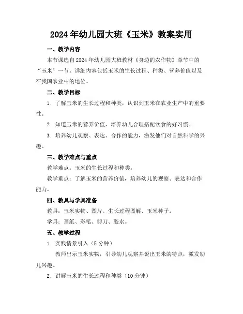 2024年幼儿园大班《玉米》教案实用