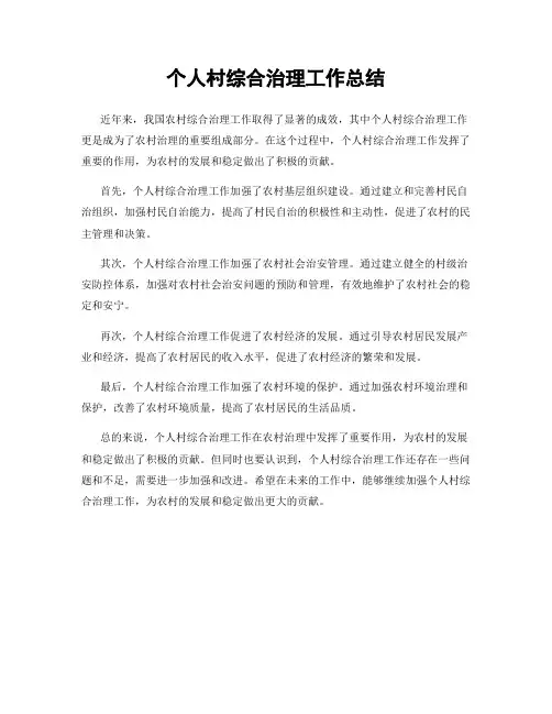 个人村综合治理工作总结