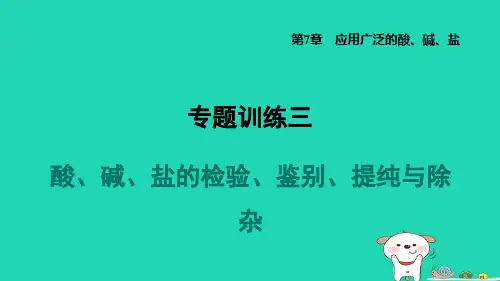 福建省2024九年级化学下册第7章应用广泛的酸碱盐专题训练三酸碱盐的检验鉴别提纯与除杂课件沪教版