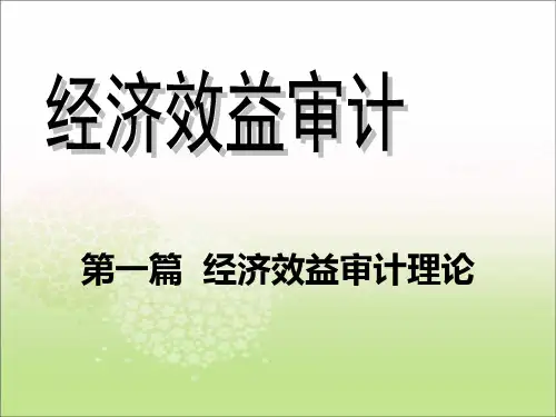 经济效益审计 第三章 经济效益审计准则和标准
