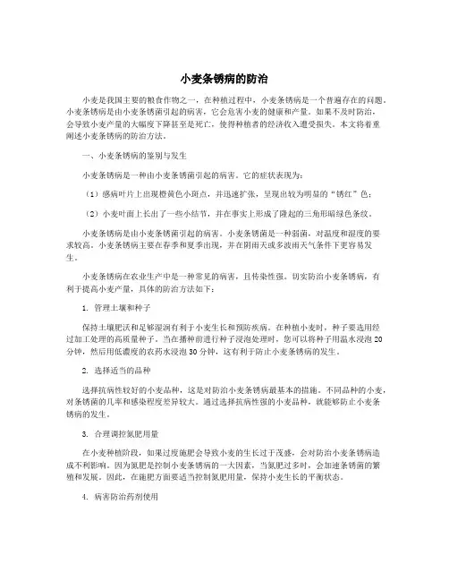 小麦条锈病的防治