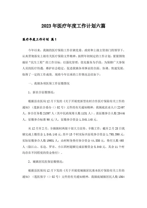 2023年医疗年度工作计划六篇