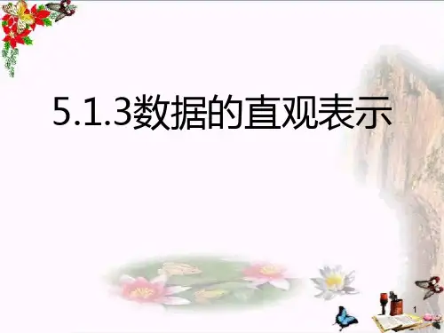 数据的直观表示课件