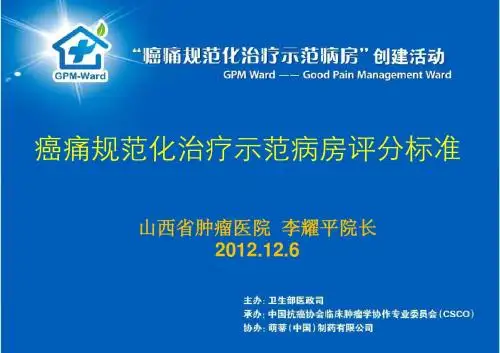 李耀平--癌痛规范化治疗病房评分标准