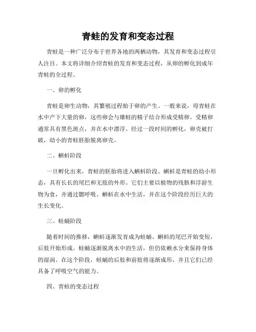 青蛙的发育和变态过程