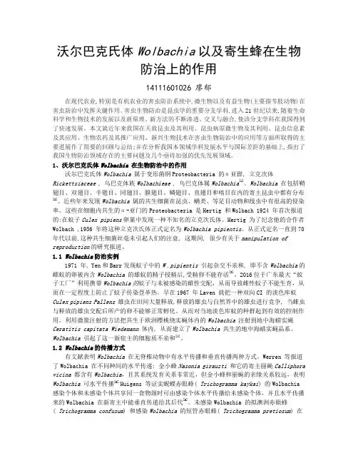 沃尔巴克氏体Wolbachia以及寄生蜂在生物防治上的作用