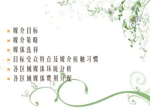 【广告策划-】媒体投放方案幻灯片PPT
