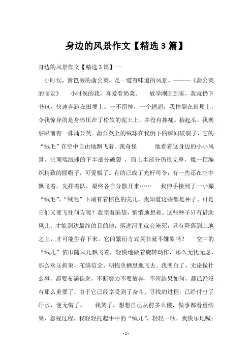 身边的风景作文【3篇】